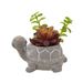 adorno-de-mesa-com-planta-artificial-12cm-tartaruga-espressione-519-016-1