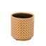 vaso-de-ceramica-13cm-marigold-espressione-450-041-1